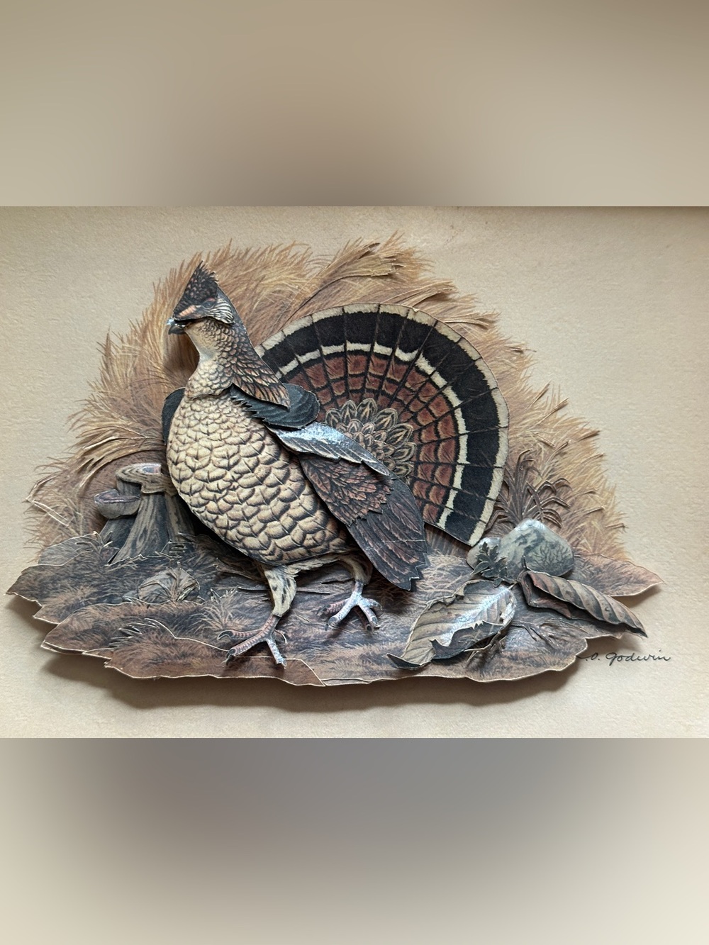 1980 Shadow Box Art C.O. Godwin Ruffed Grouse 3D Paper Tole VINTAGE Folk Art